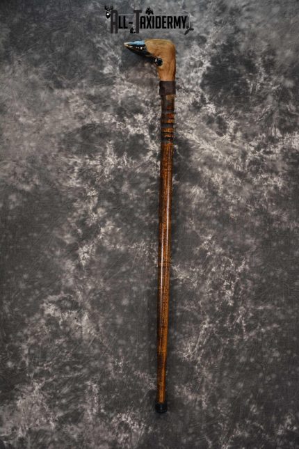 Deer Foot Cane taxidermy for sale SKU 1765.2