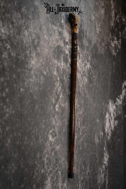 Deer Foot Cane taxidermy for sale SKU 1765.2 - Image 2