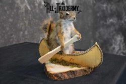 Red Squirrel in Canoe Taxidermy mount for sale SKU 1747 - Image 3
